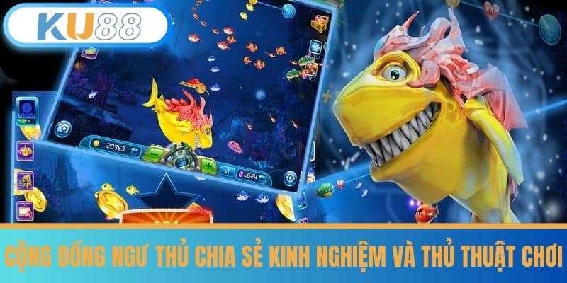 Cộng Đồng Ngư Thủ Chia Sẻ Kinh Nghiệm và Thủ Thuật Chơi