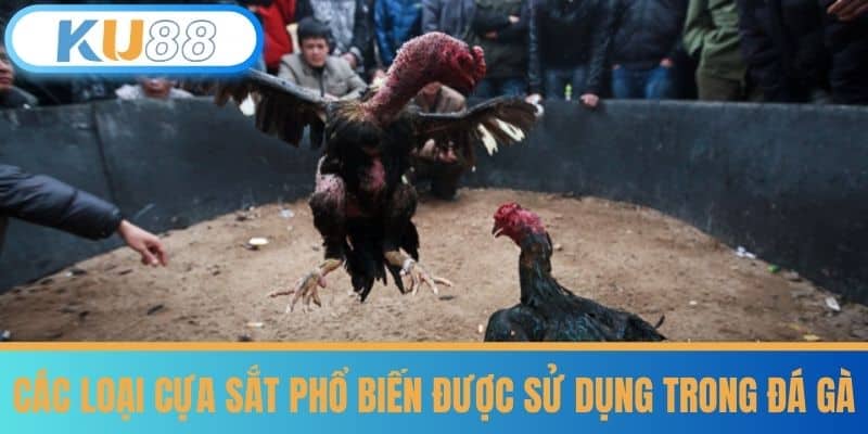 Đá Gà Cựa Sắt - Luật Chơi Dễ Hiểu Cho Tân Thủ Tại KU88 6 Các loại cựa sắt phổ biến được sử dụng trong đá gà