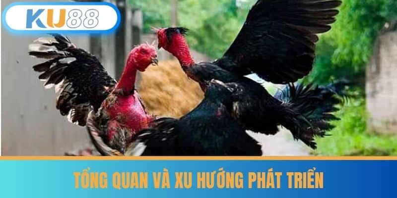 Đá Gà Thomo - Bí Quyết Cá Cược Từ Kê Thủ Lâu Năm Tại KU88 5 Tổng quan và Xu hướng phát triển